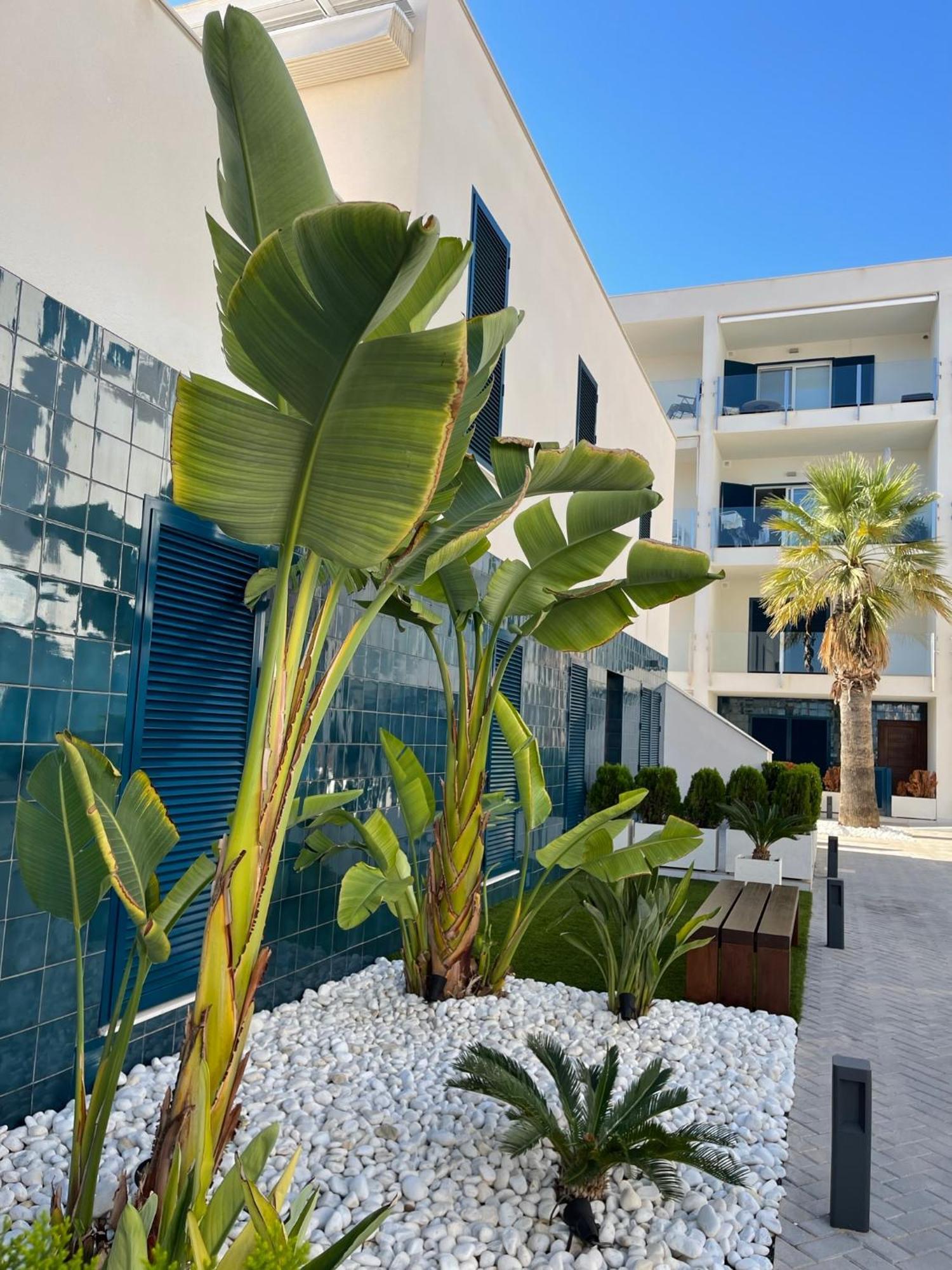 Hola Blanca - Sea, Golf, Chill Apartment Dehesa de Campoamor  Exterior photo