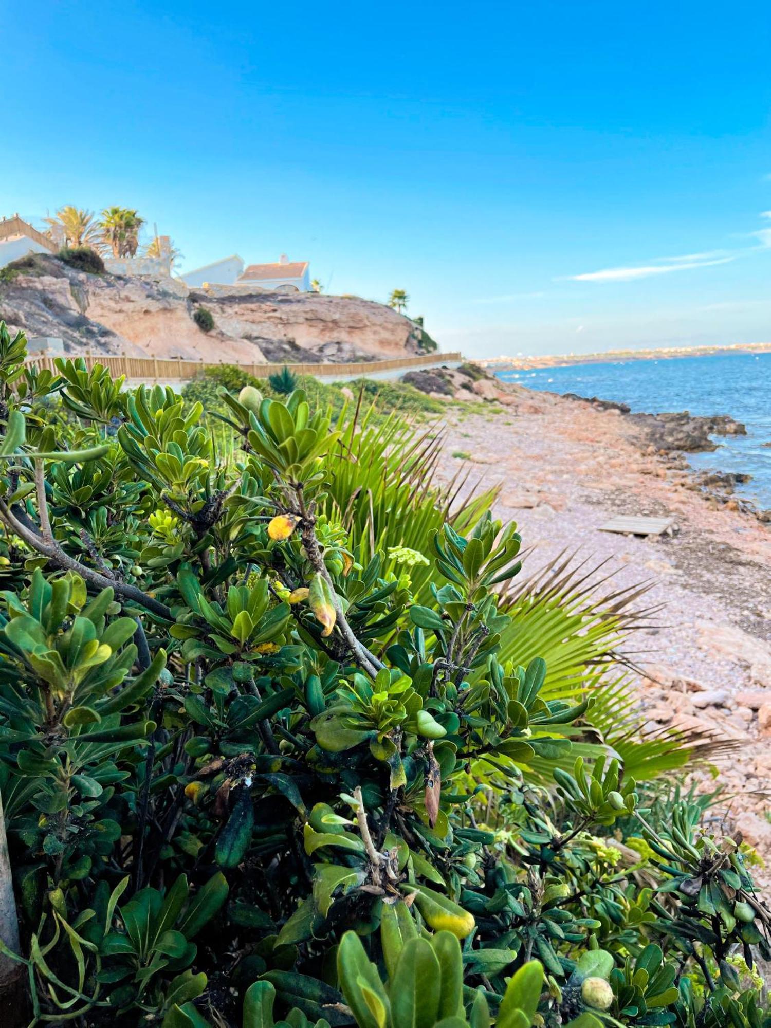 Hola Blanca - Sea, Golf, Chill Apartment Dehesa de Campoamor  Exterior photo
