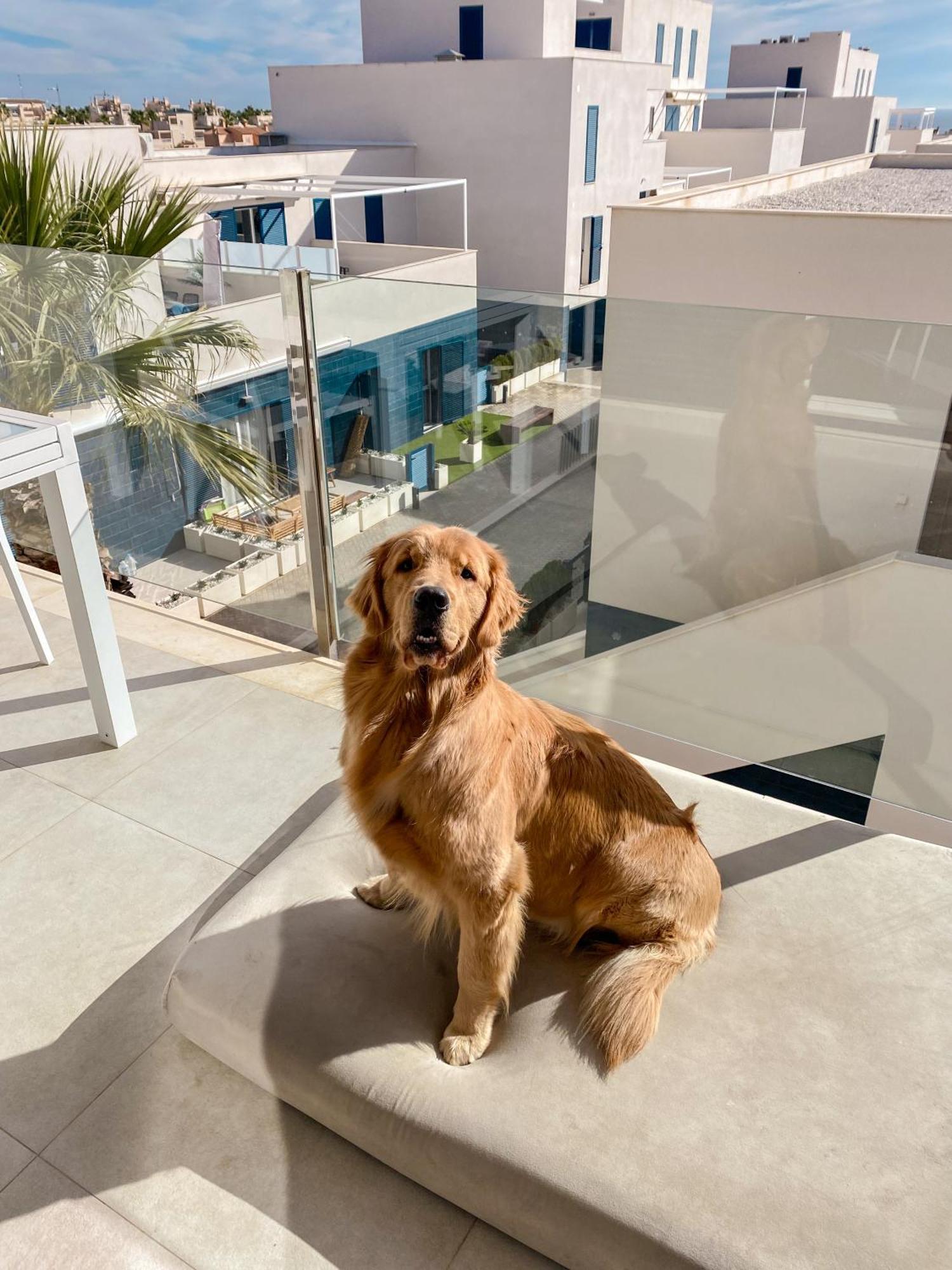 Hola Blanca - Sea, Golf, Chill Apartment Dehesa de Campoamor  Exterior photo