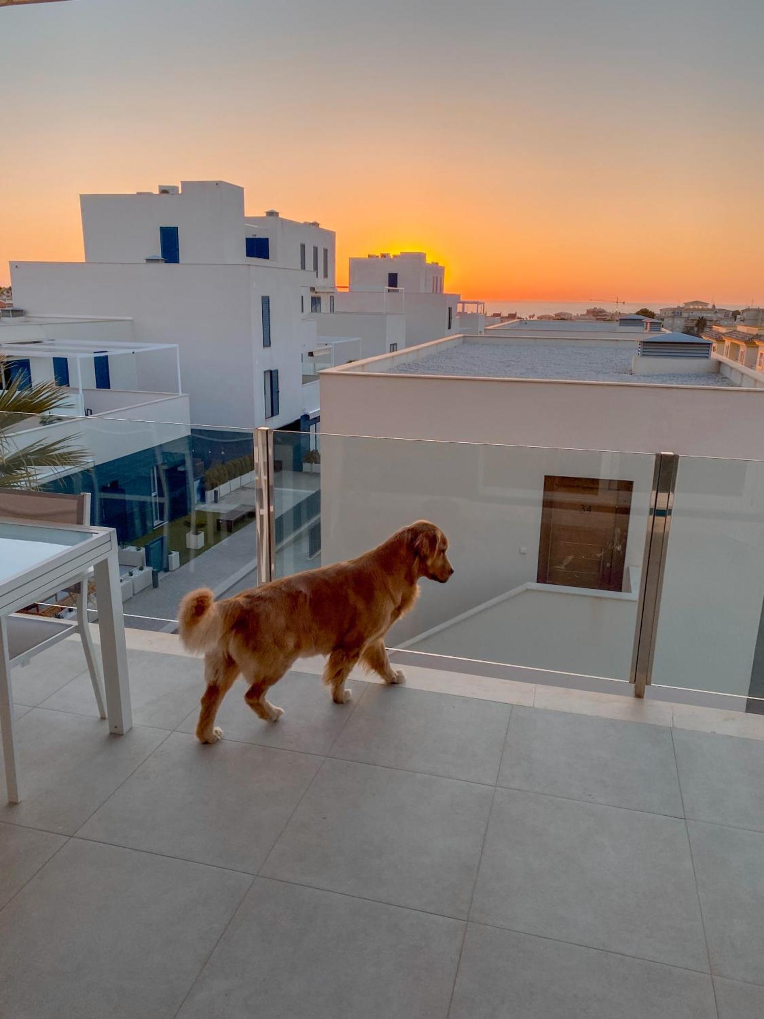 Hola Blanca - Sea, Golf, Chill Apartment Dehesa de Campoamor  Exterior photo
